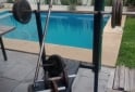 Deportes - Banco de pecho y pesas - En Venta