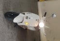 Motos - Zanella Styler exclusive 150 2018 Nafta 22800Km - En Venta