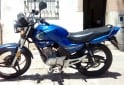 Motos - Yamaha YBR 125 2010 Nafta 74800Km - En Venta