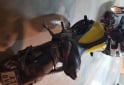 Motos - Beta Zontes V310 2021 Nafta 13000Km - En Venta