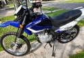 Motos - Motomel Skua 150 2019 Nafta 960Km - En Venta