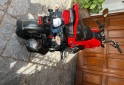 Motos - Honda Navi 2025 Nafta 0Km - En Venta