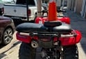 Cuatris y UTVs - Honda 420 2010 1500Km - En Venta