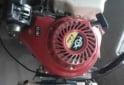 Otros (Náutica) - Vendo Motor Pata puyer - En Venta