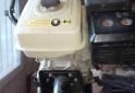 Otros (Náutica) - Vendo Motor Pata puyer - En Venta