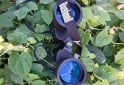 Deportes - Binocular en venta - En Venta