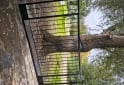 Hogar - Vendo oportunidad - En Venta