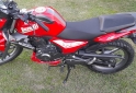 Motos - Benelli Tnt 15 2023 Nafta 5400Km - En Venta