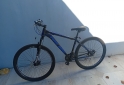 Deportes - Bicicleta Fire Bird Rodado29 - En Venta