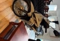 Motos - Honda Wave 110 S 0km 2026 Nafta 0Km - En Venta