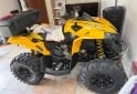Cuatris y UTVs - Can Am 500 renegade 2013 11000Km - En Venta