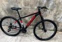 Deportes - Bicicleta FIREBIRD - rodado 29 - En Venta