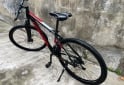 Deportes - Bicicleta FIREBIRD - rodado 29 - En Venta