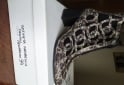 Indumentaria - Botas de cuero legítimo marca Dellasignoria - Talle 39 - En Venta