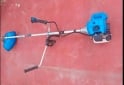 Herramientas - Desmalezadora/bordeadora - En Venta