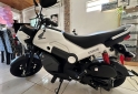 Motos - Honda Navi 2024 Nafta 980Km - En Venta