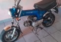 Motos - Honda Dax 1999 Nafta 111111Km - En Venta