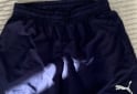 Indumentaria - Bermudas talle 38 y 40 - En Venta
