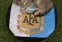 Hogar - Puff / butaca - En Venta