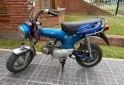 Motos - Honda Dax 1999 Nafta 151422Km - En Venta