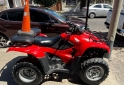 Cuatris y UTVs - Honda 420 2010  1500Km - En Venta