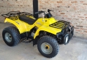 Cuatris y UTVs - Guerrero Mapuche 250cc 2011  111111Km - En Venta