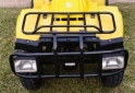 Cuatris y UTVs - Guerrero Mapuche 250cc 2011  111111Km - En Venta