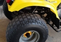 Cuatris y UTVs - Guerrero Mapuche 250cc 2011  111111Km - En Venta