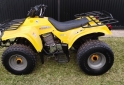 Cuatris y UTVs - Guerrero Mapuche 250cc 2011  111111Km - En Venta