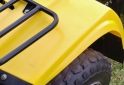 Cuatris y UTVs - Guerrero Mapuche 250cc 2011  111111Km - En Venta