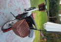 Otros - Bicicleta el�ctrica familiar (capacidad 2 ni�os) - En Venta