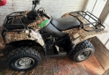 Cuatris y UTVs - Suzuki OZARK 2009  500Km - En Venta