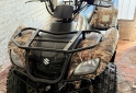Cuatris y UTVs - Suzuki OZARK 2009  500Km - En Venta