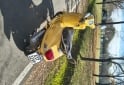 Motos - Vespa VLX 2019 Nafta 1000Km - En Venta