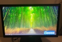 Informática - VENDO Monitor ACER V206HQL 19.5" - En Venta