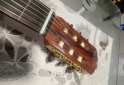 Instrumentos Musicales - Guitarra electroclasica - En Venta