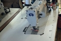Otros - MAQUINA DE COSER RECTA DOBLE ARRASTRE - En Venta