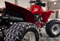 Cuatris y UTVs - Honda FOURTRAX 1998  11111Km - En Venta