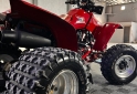 Cuatris y UTVs - Honda FOURTRAX 1998  11111Km - En Venta