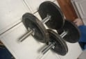 Deportes - Excelente Par de Mancuernas con Rosca XL con 20 Kg de Discos de Fundición - En Venta
