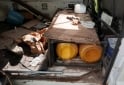 Utilitarios - Renault Trafic 1994 GNC 320430Km - En Venta