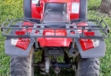 Cuatris y UTVs - Zanella 250 2013 7000Km - En Venta