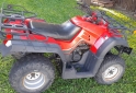 Cuatris y UTVs - Zanella 250 2013 7000Km - En Venta