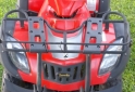 Cuatris y UTVs - Zanella 250 2013 7000Km - En Venta