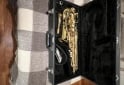 Instrumentos Musicales - Vendo Saxofón Alto Alpine Deluxe Americano como Nuevo - En Venta