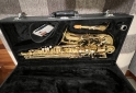 Instrumentos Musicales - Vendo Saxofón Alto Alpine Deluxe Americano como Nuevo - En Venta