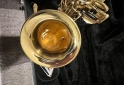 Instrumentos Musicales - Vendo Saxofón Alto Alpine Deluxe Americano como Nuevo - En Venta