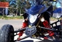 Cuatris y UTVs - Suzuki LTR 2008 2008 40000Km - En Venta