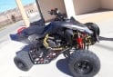 Cuatris y UTVs - Suzuki LTR 2008 2008 40000Km - En Venta