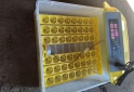 Otros - Incubadora de 48 huevos 95 % de nacimientos - En Venta